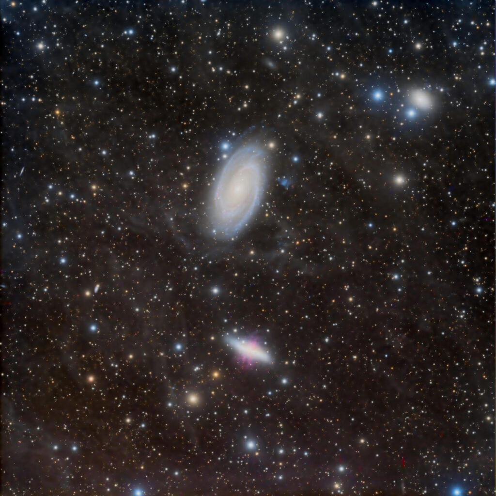 M81