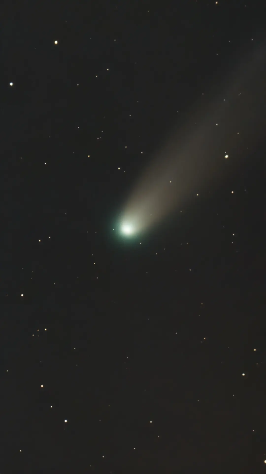 comet-c-2025_A6 Comet C/2025 A6 (Lemmon)